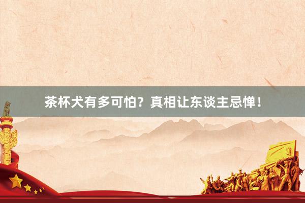 茶杯犬有多可怕？真相让东谈主忌惮！